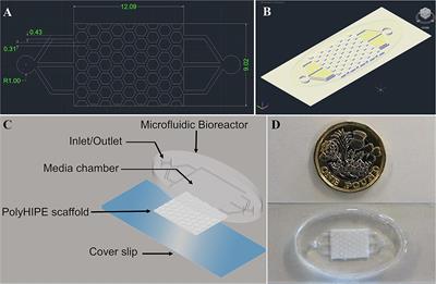 Design and Evaluation of an Osteogenesis-on-a-Chip Microfluidic Device Incorporating 3D Cell Culture